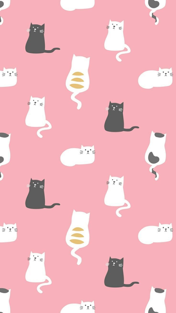 Kawaii Cat Wallpapers