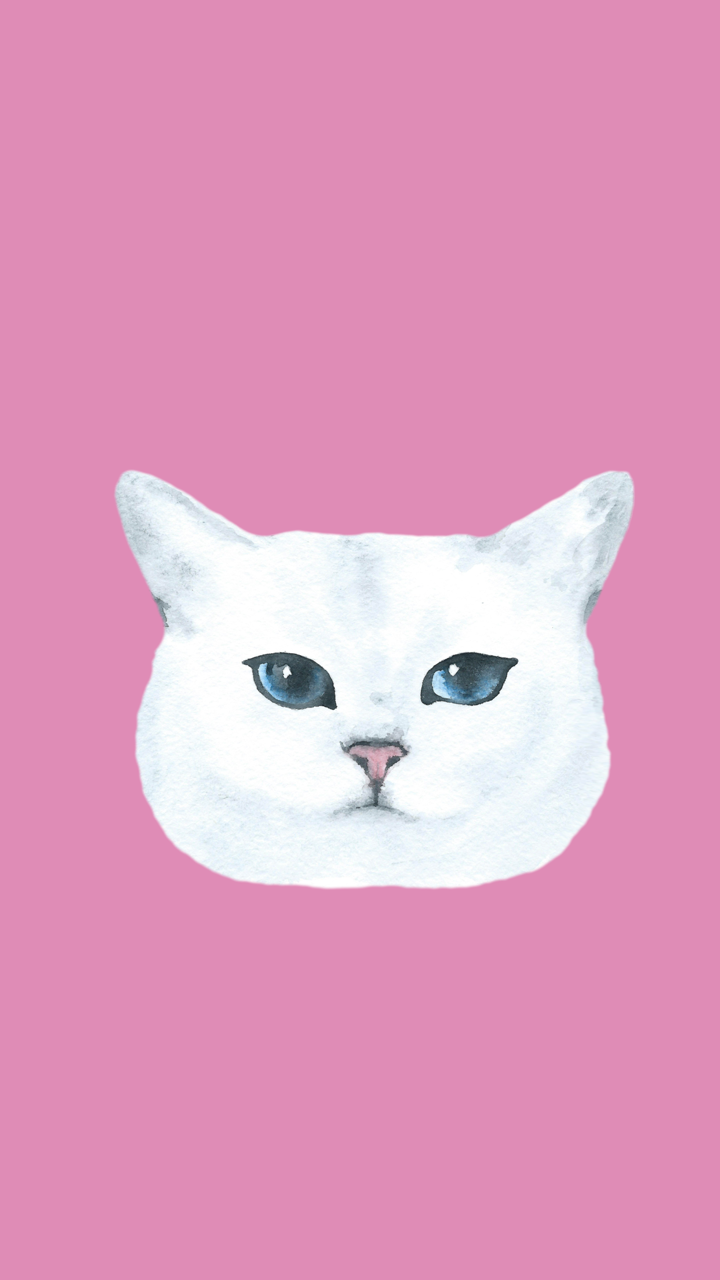 Kawaii Cat Tumblr Wallpapers