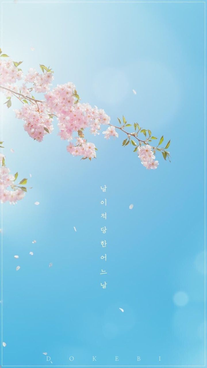 Kdrama Wallpapers