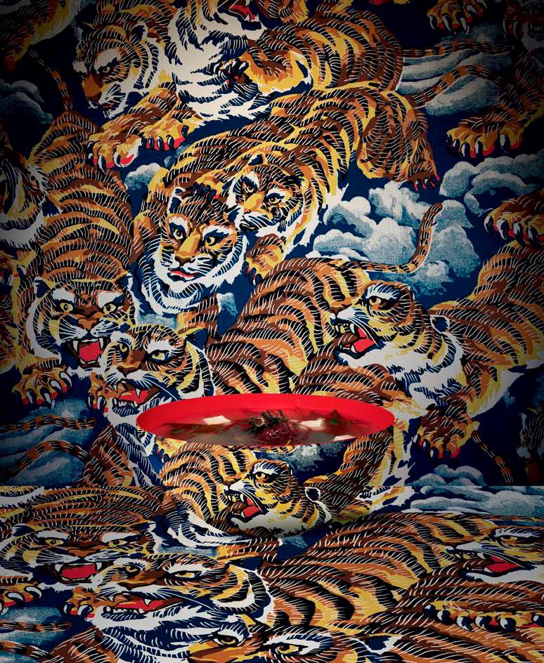 Kenzo Wallpapers