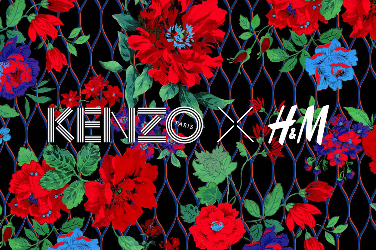 Kenzo Wallpapers