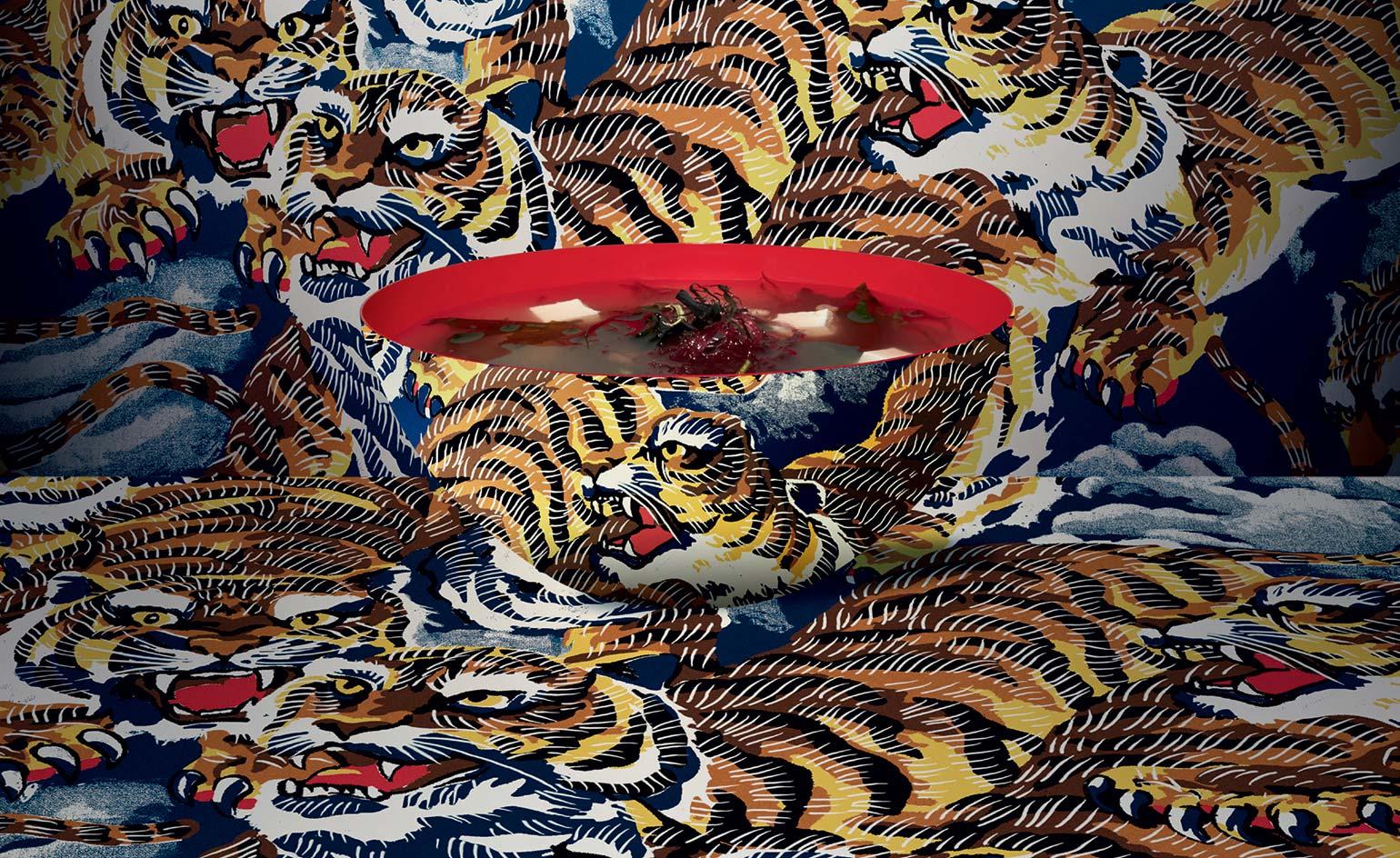 Kenzo Wallpapers