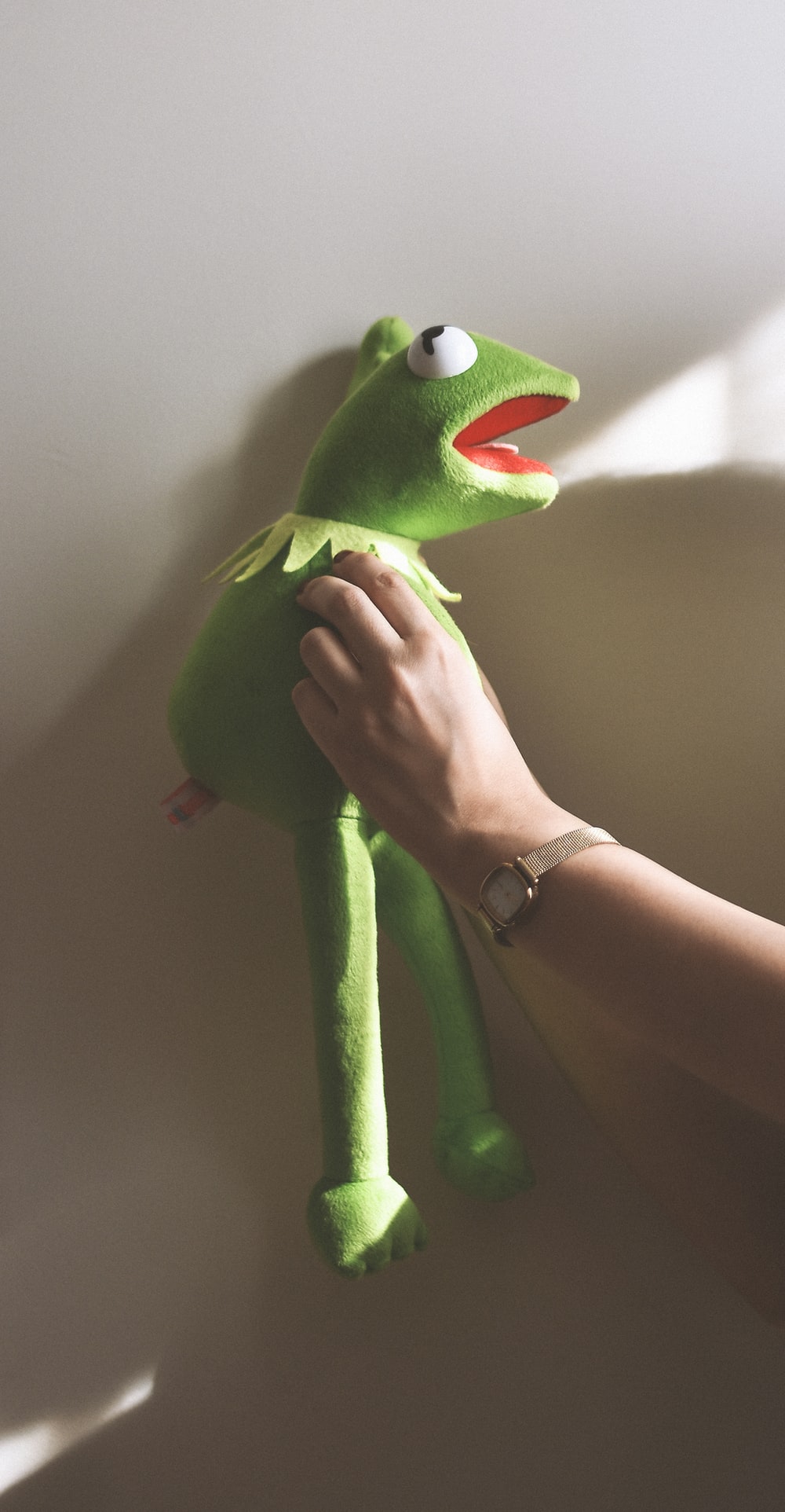 Kermit Wallpapers