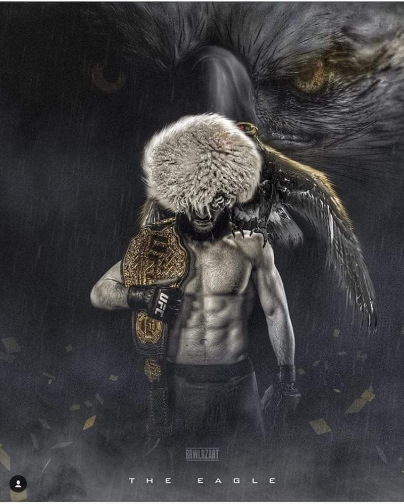 Khabib Wallpapers