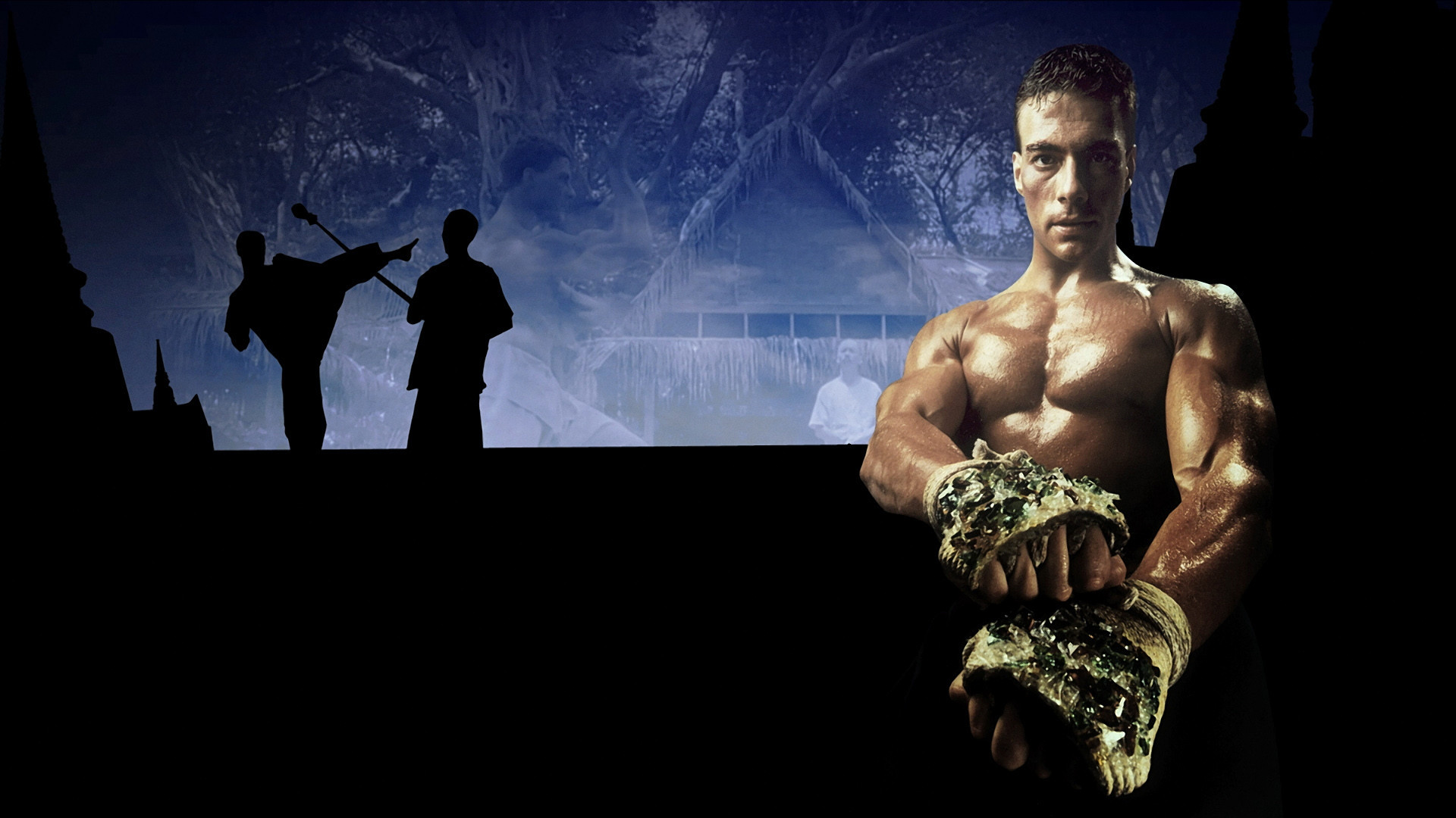 Kickboxer Wallpapers