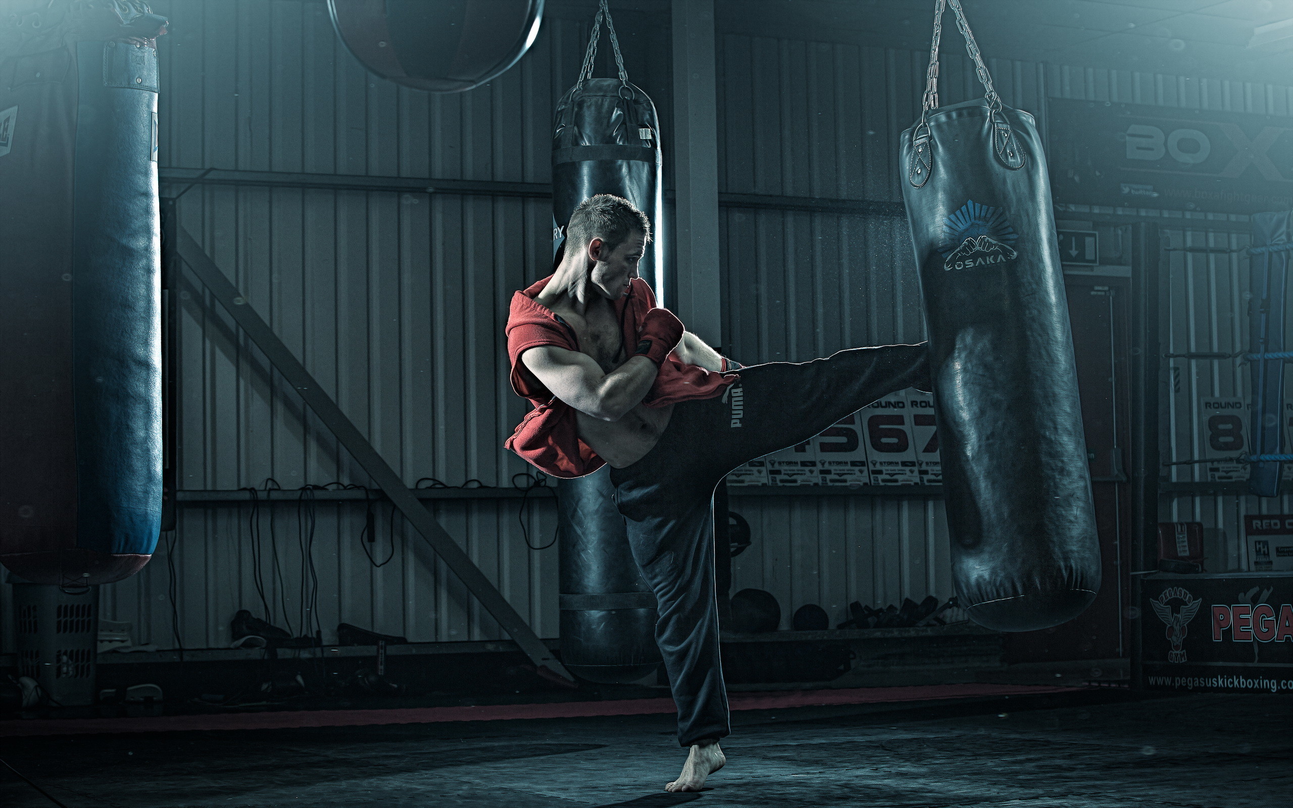 Kickboxer Wallpapers