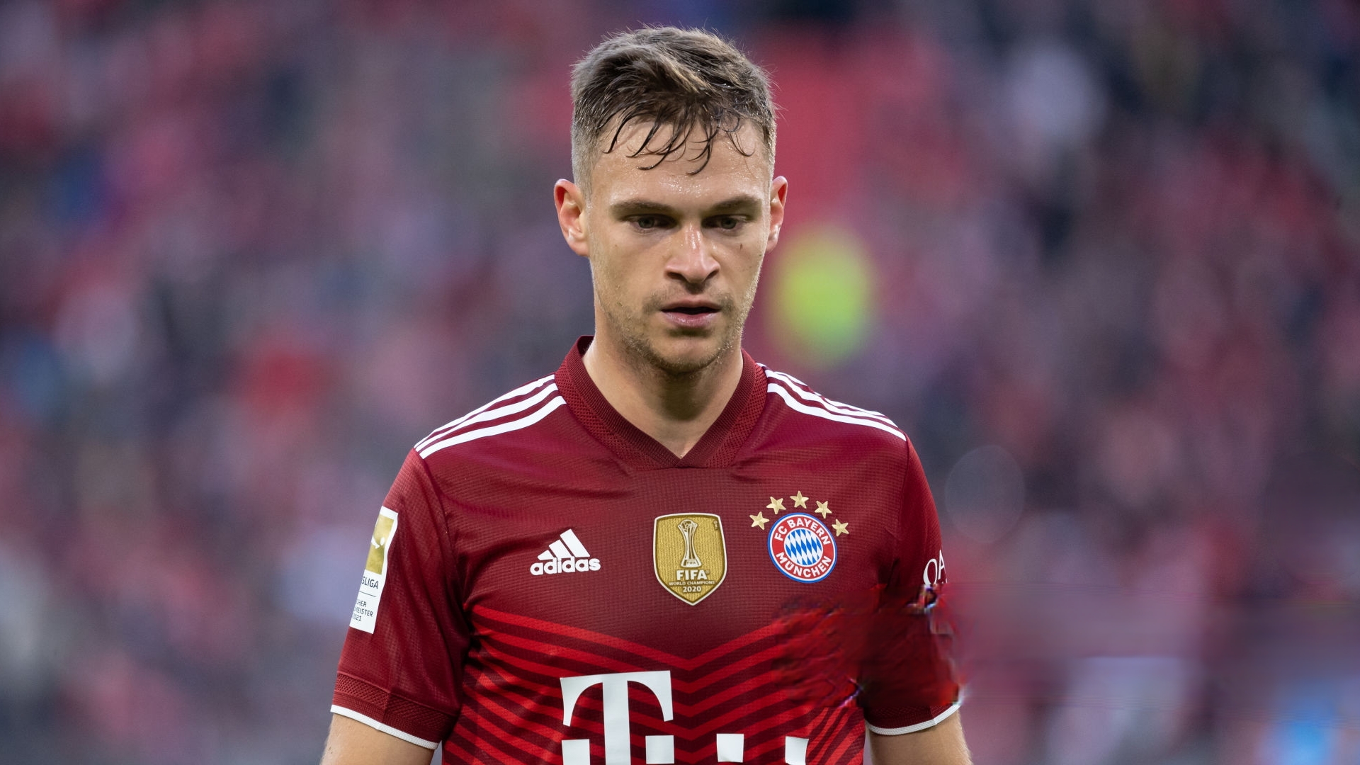 Kimmich Wallpapers