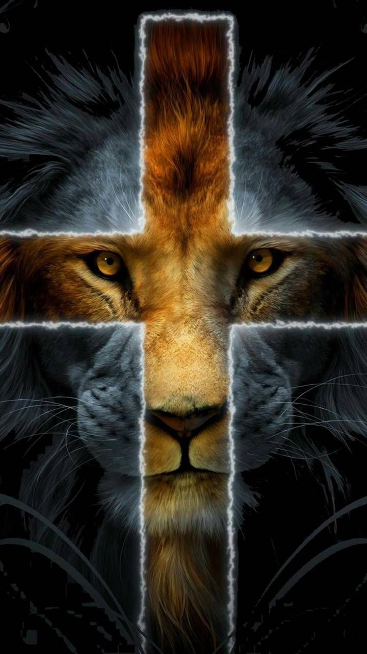 King Jesus Lion Wallpapers