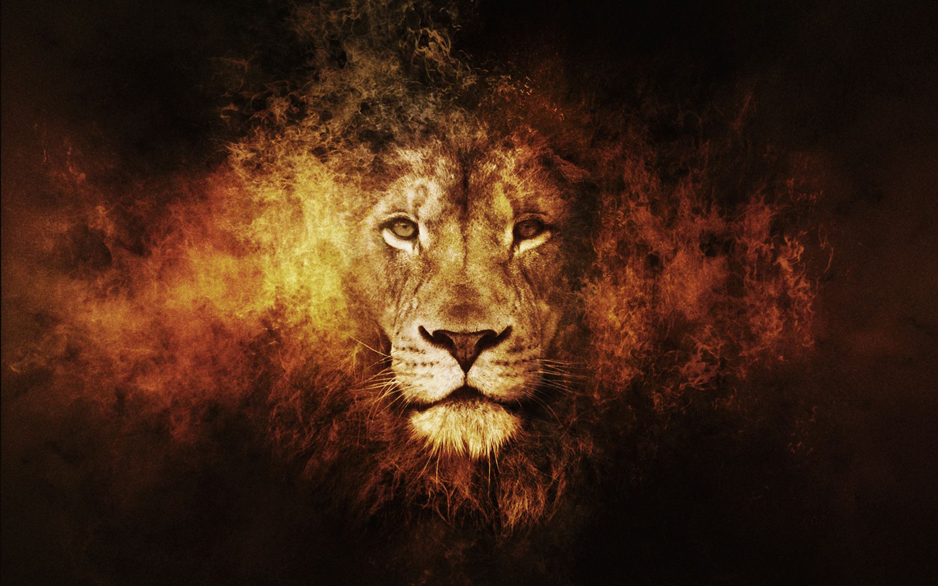 King Jesus Lion Wallpapers