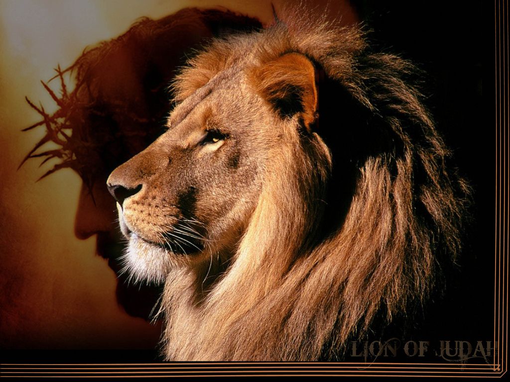 King Jesus Lion Wallpapers