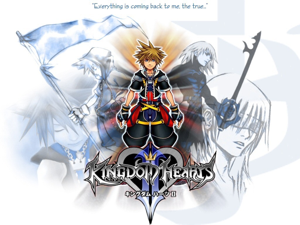 Kingdom Hearts Organization 13 Wallpapers