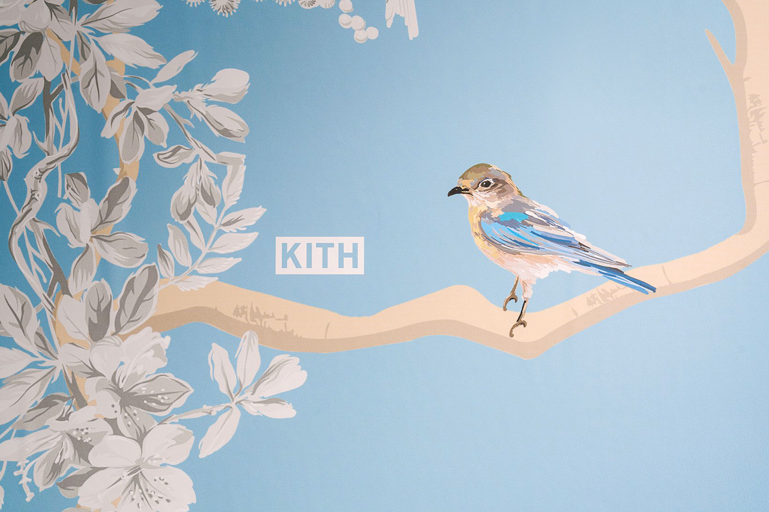 Kith Wallpapers