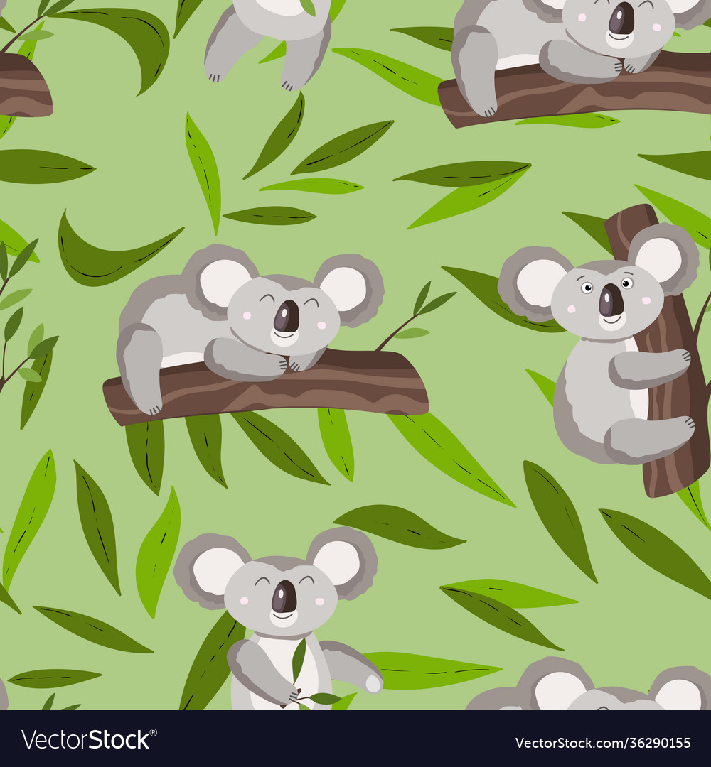 Koala Baby Wallpapers