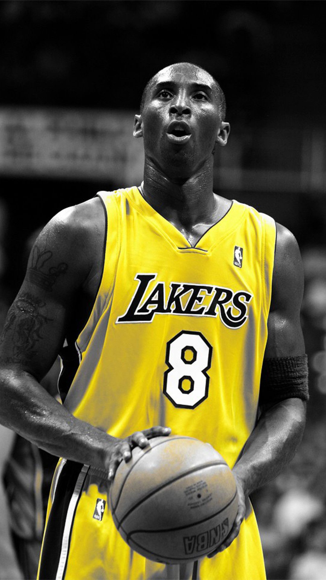 Kobe Bryant 8 And 24 Wallpapers