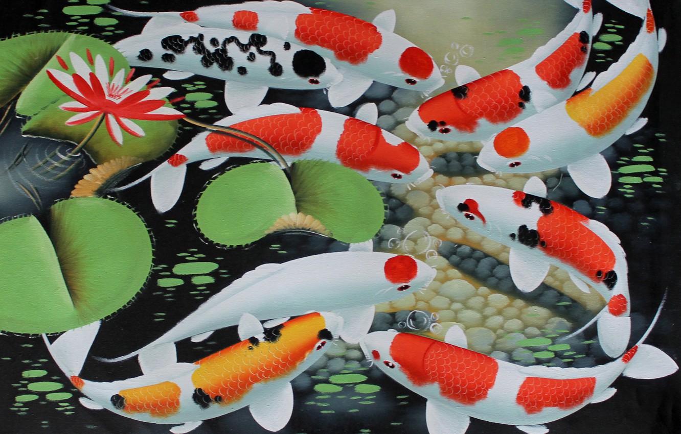 Koi Fish Painting Wallpapers