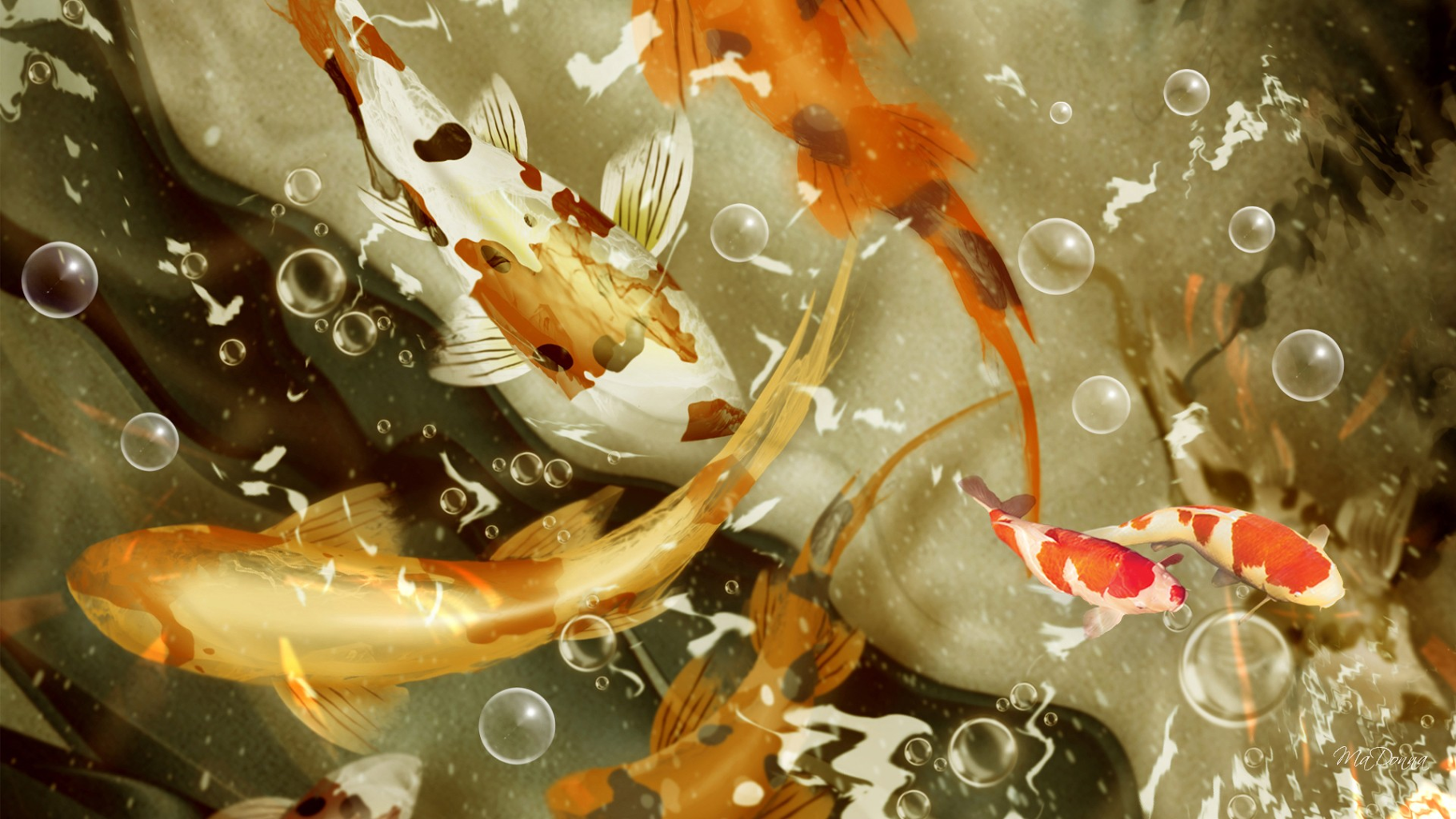 Koi Fish 4K Wallpapers