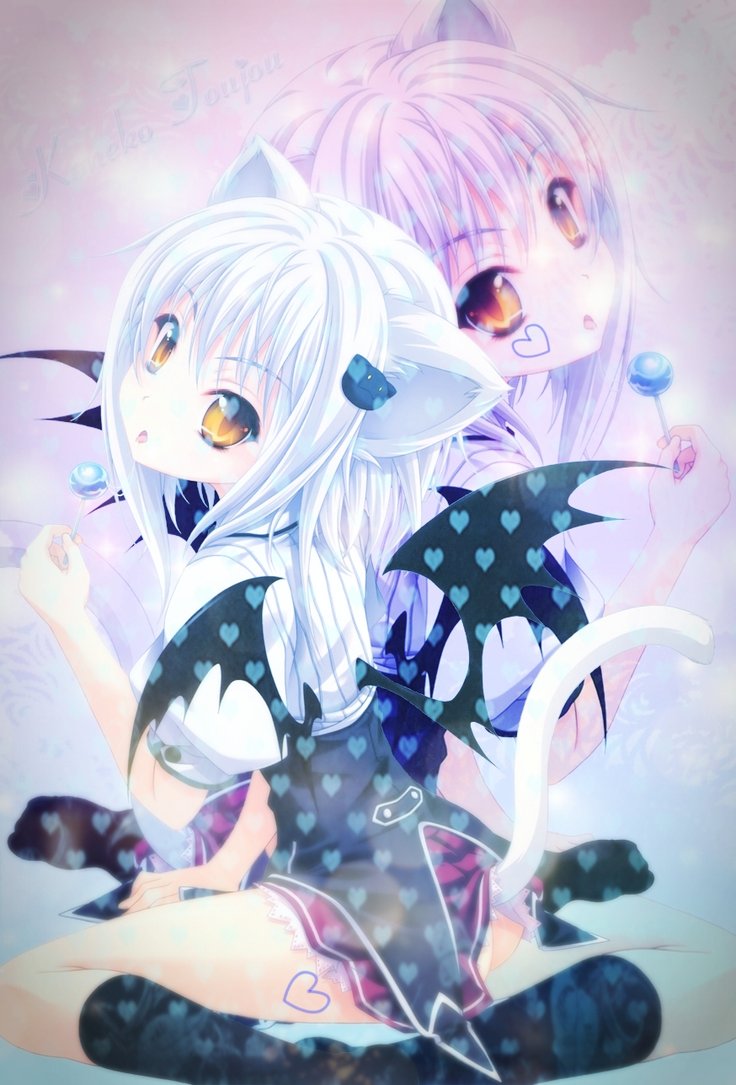 Koneko Wallpapers