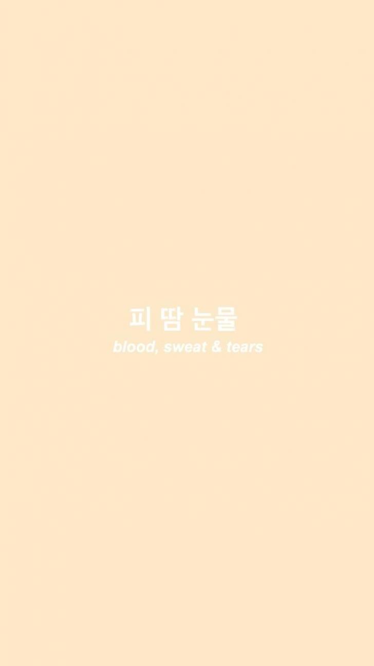 Korean Aesthetic Wallpapers