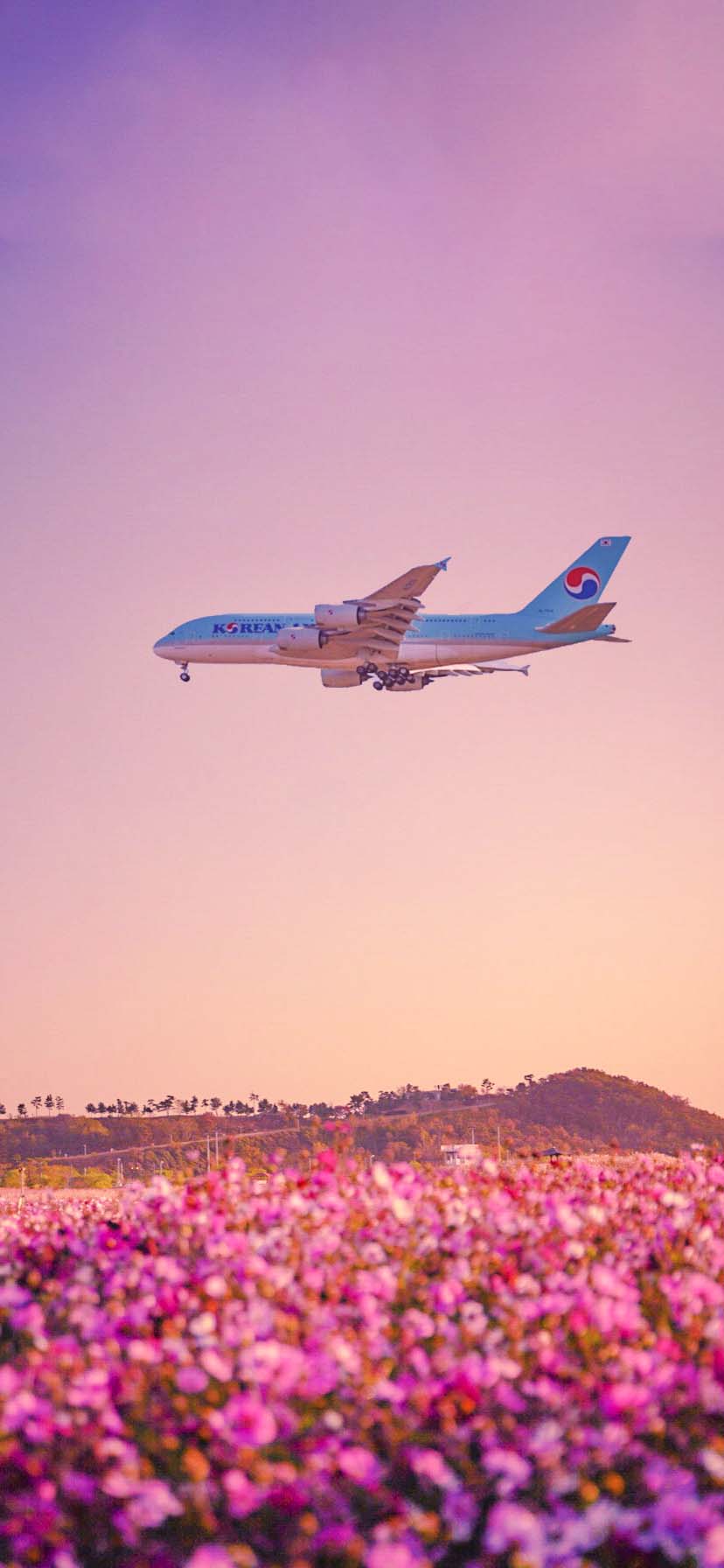 Korean Air Plane Wallpapers