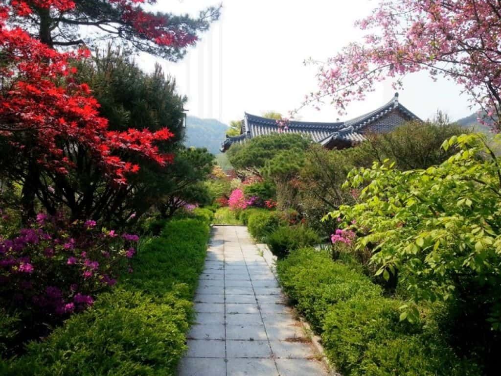 Korean Garden Wallpapers