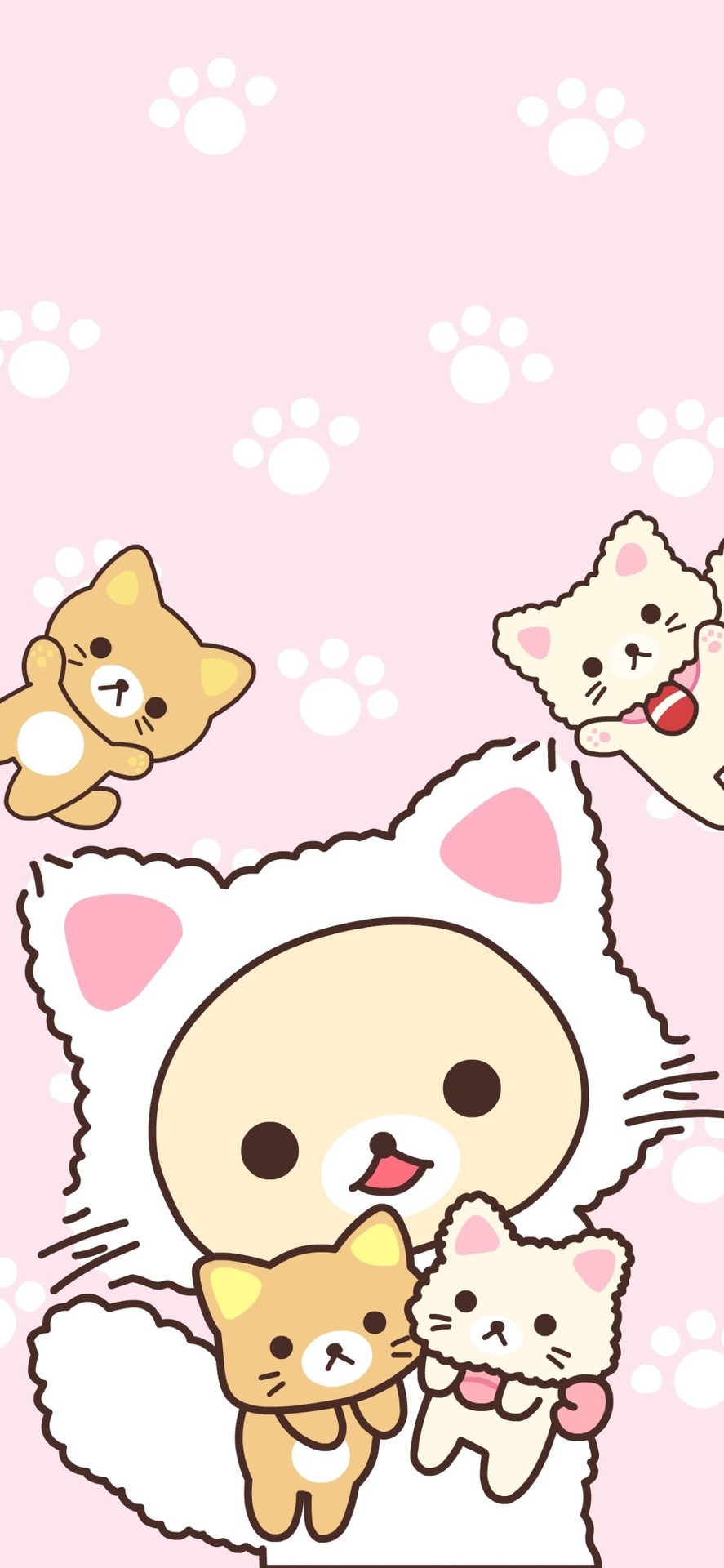 Korilakkuma Wallpapers