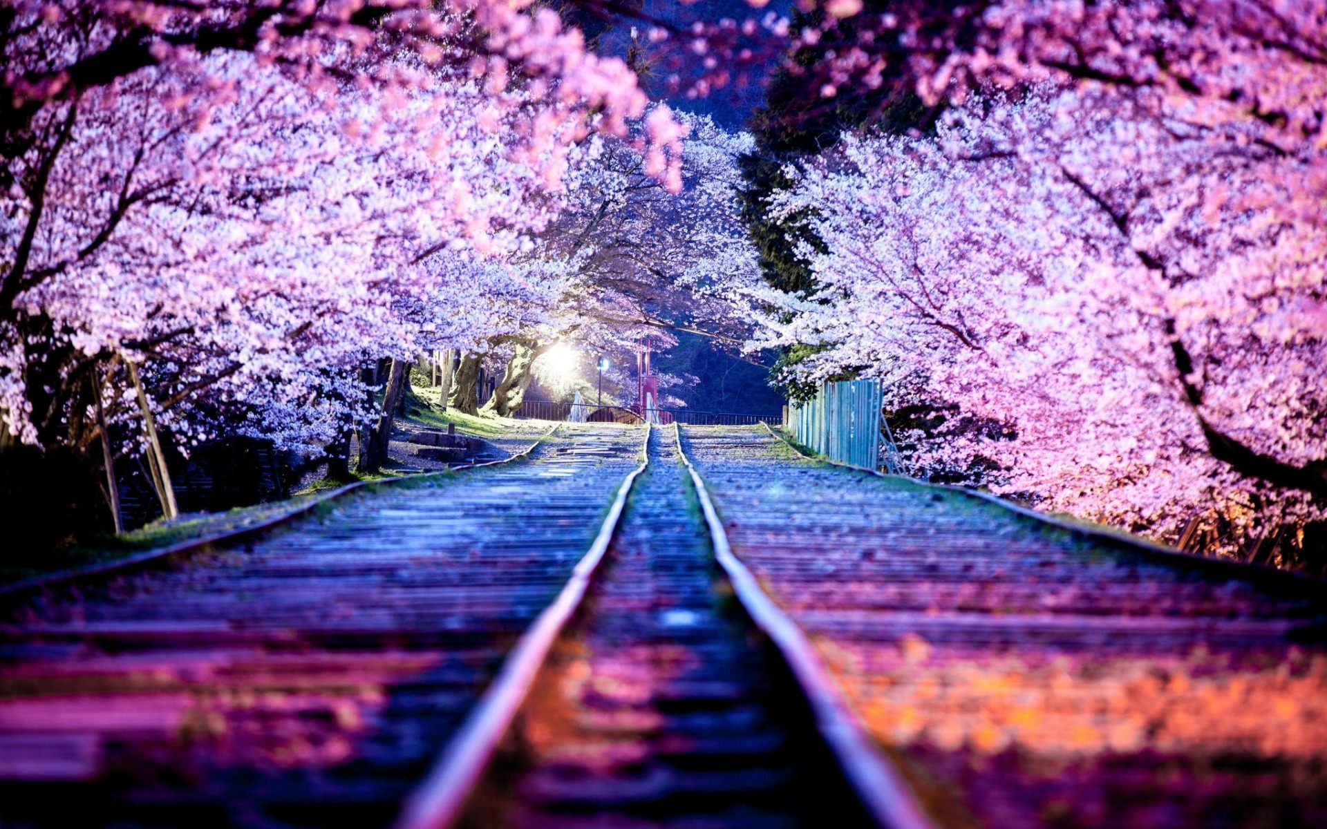 Kyoto Japan Wallpapers