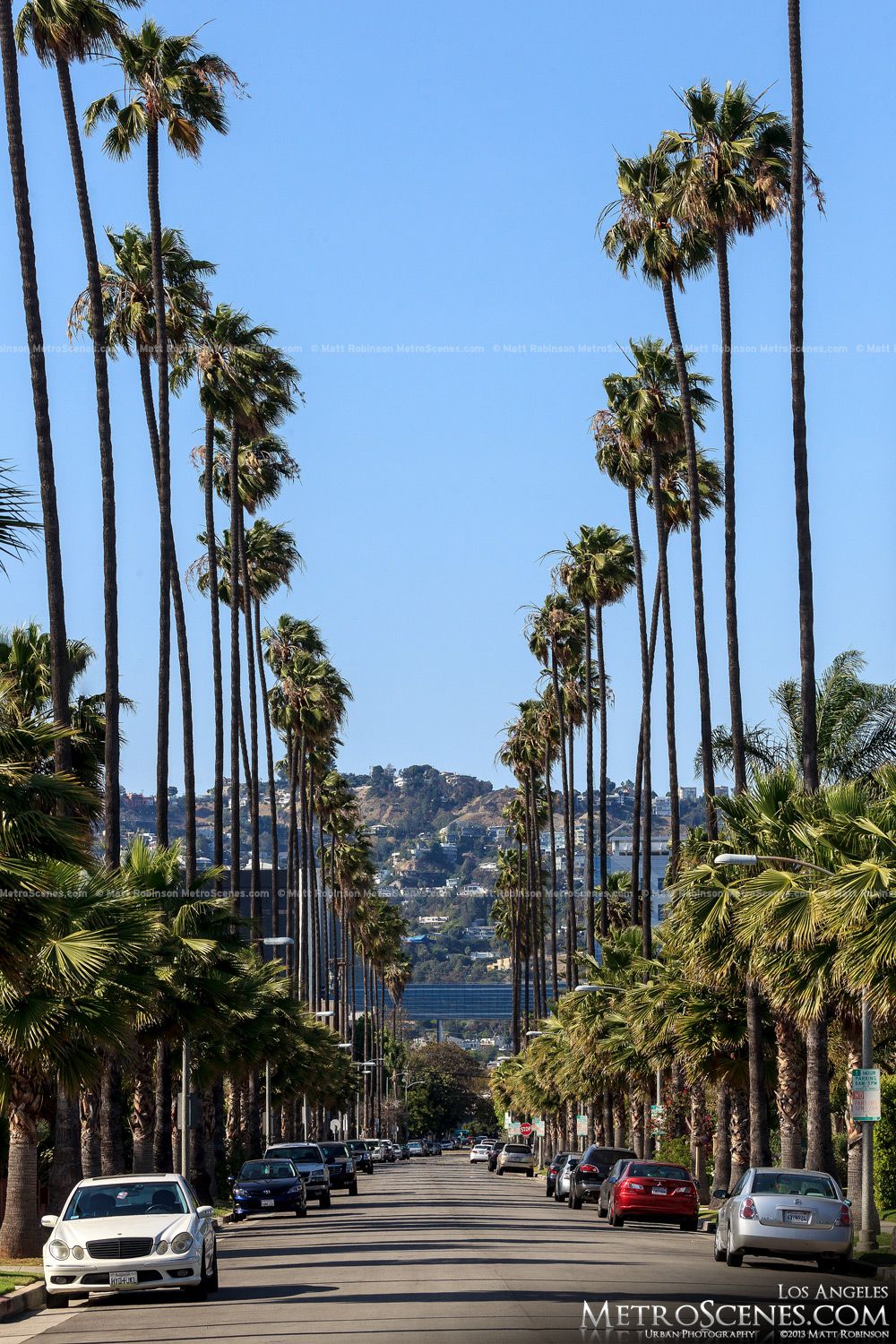 La Palm Trees Wallpapers