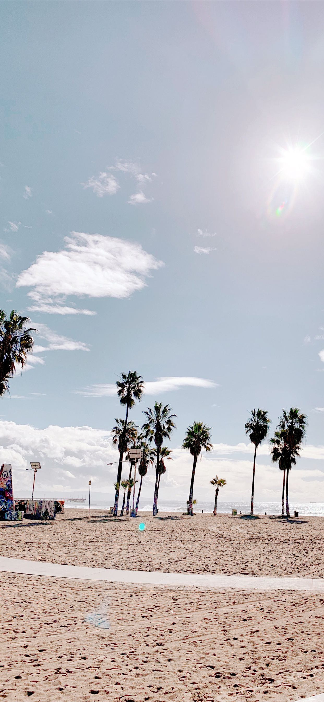 La Palm Trees Wallpapers