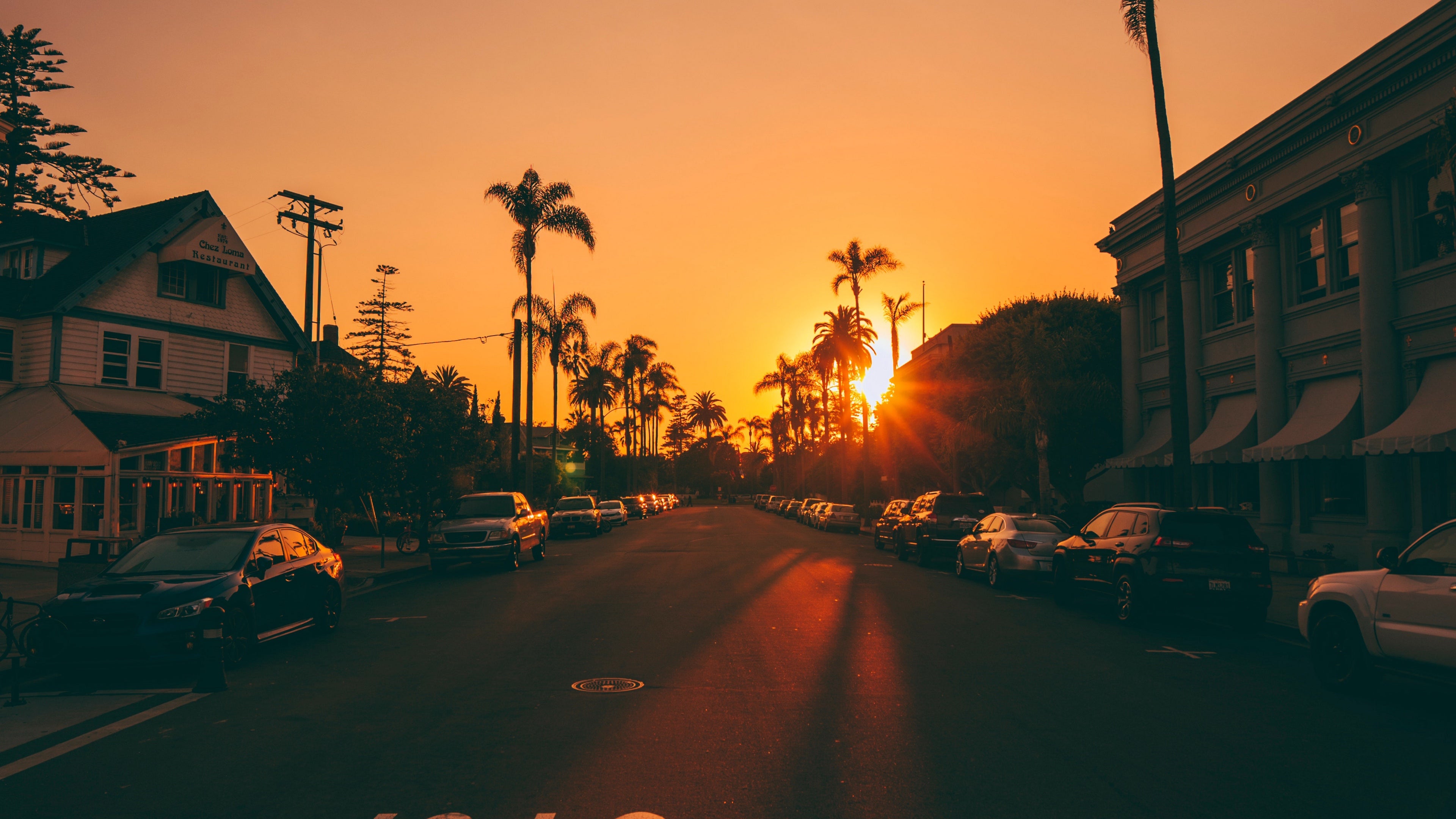 La Palm Trees Wallpapers