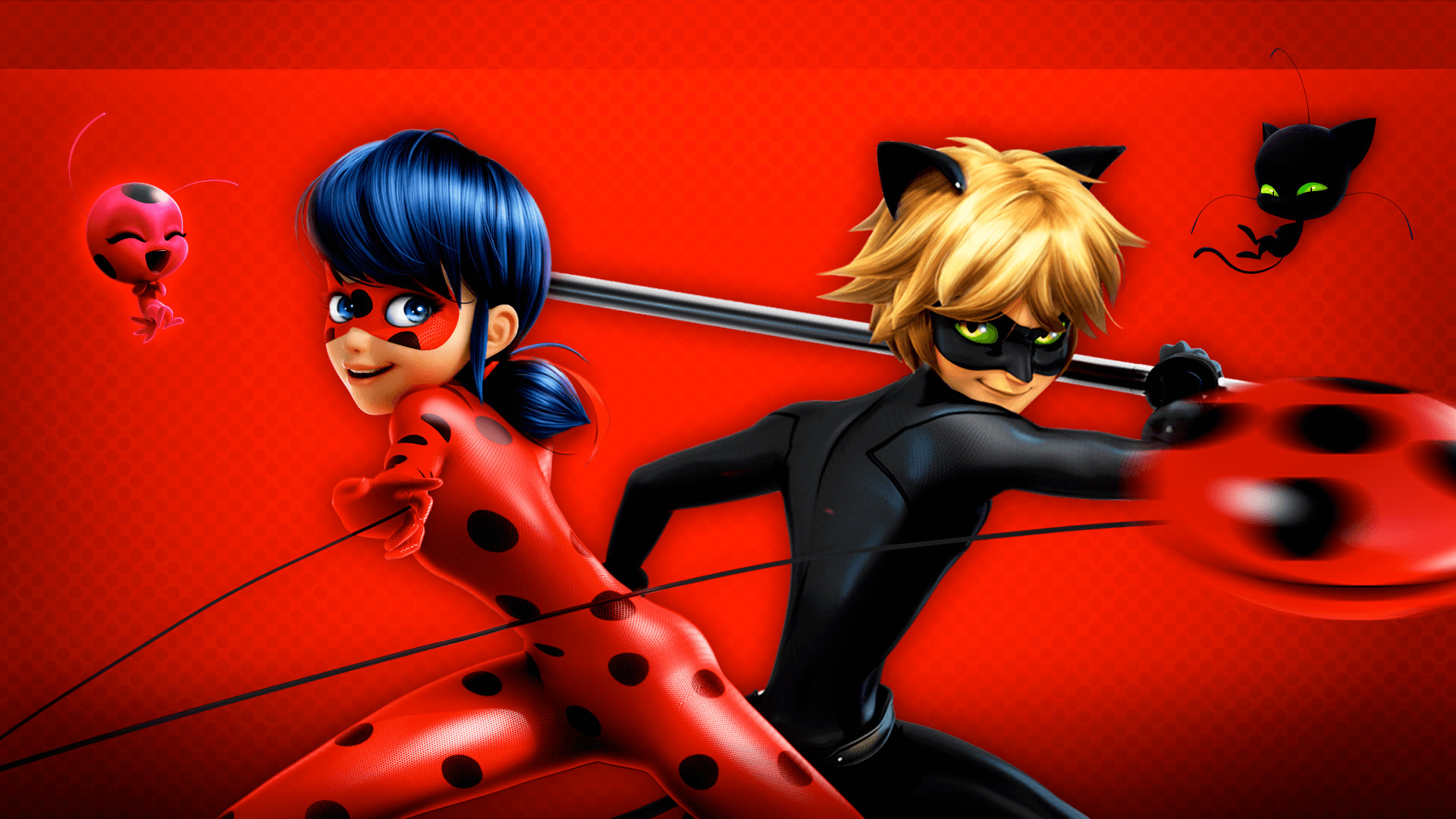 Ladybug Free Wallpapers