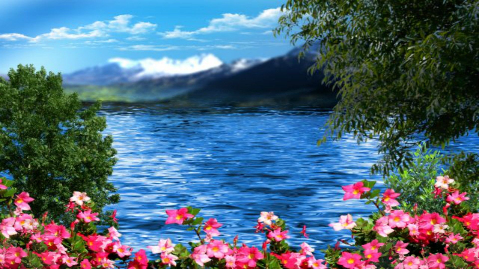 Lake Flower Wallpapers