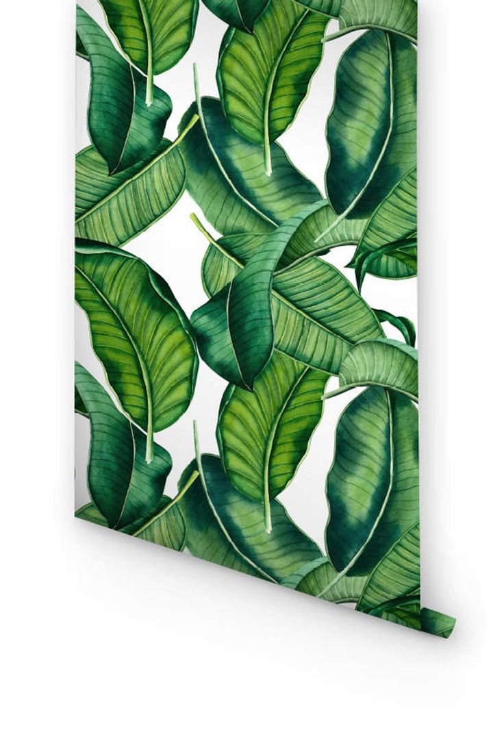Large Banana Leaf Wallpapers
