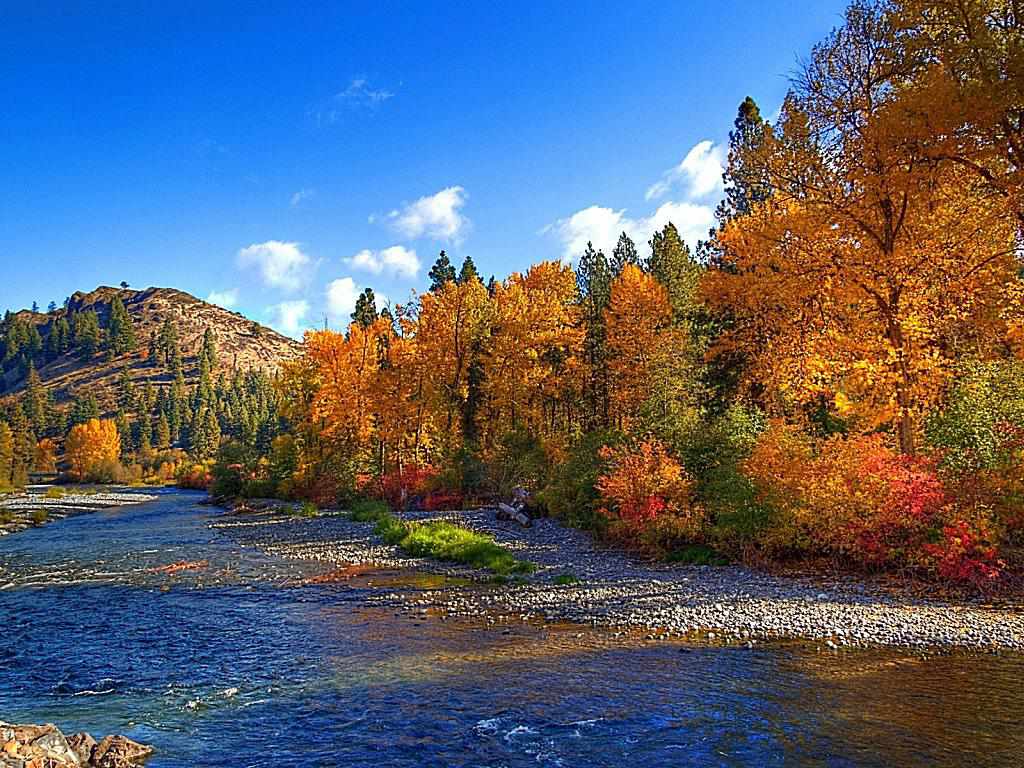 Large Fall Picture Wallpapers