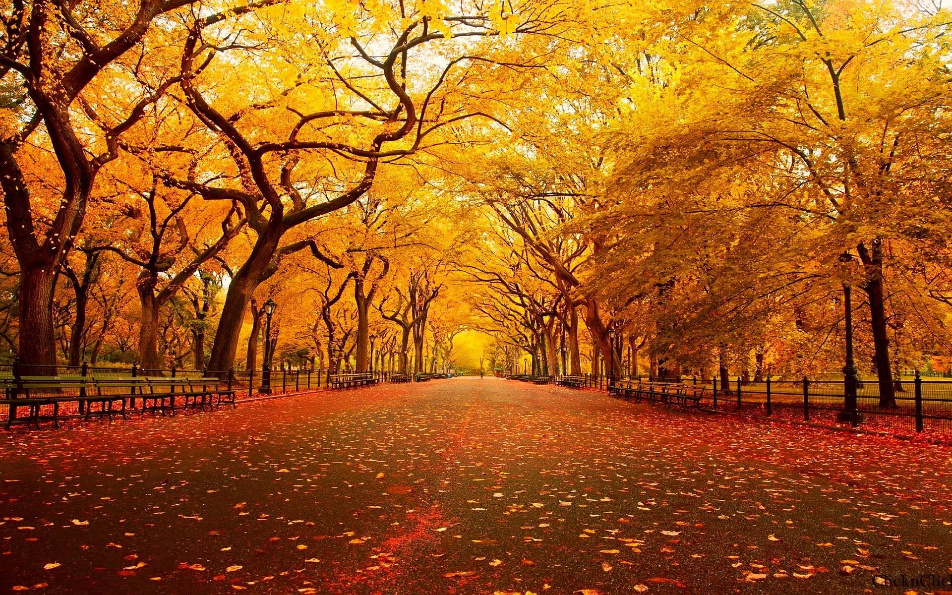 Late Autumn Wallpapers