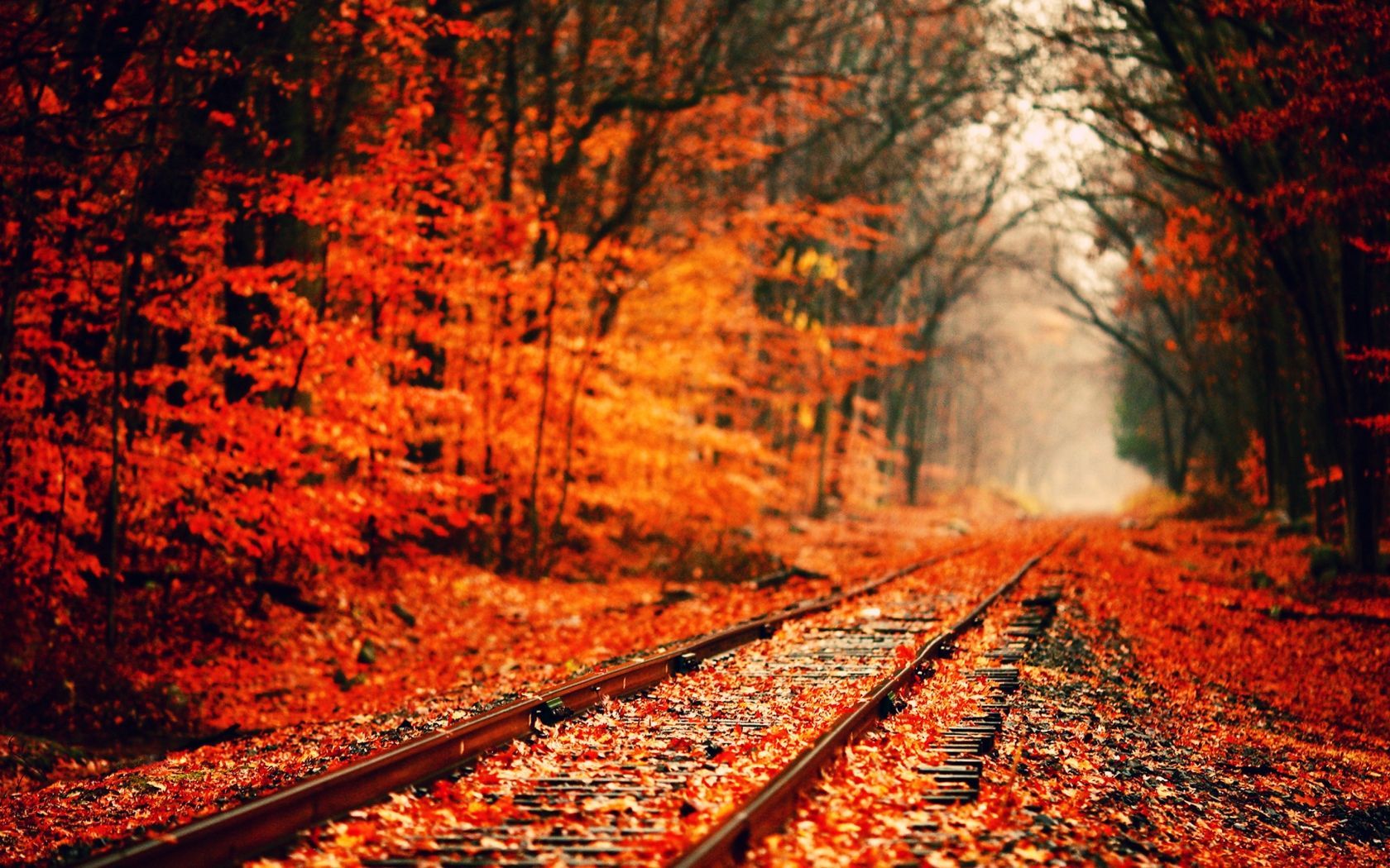 Late Autumn Wallpapers