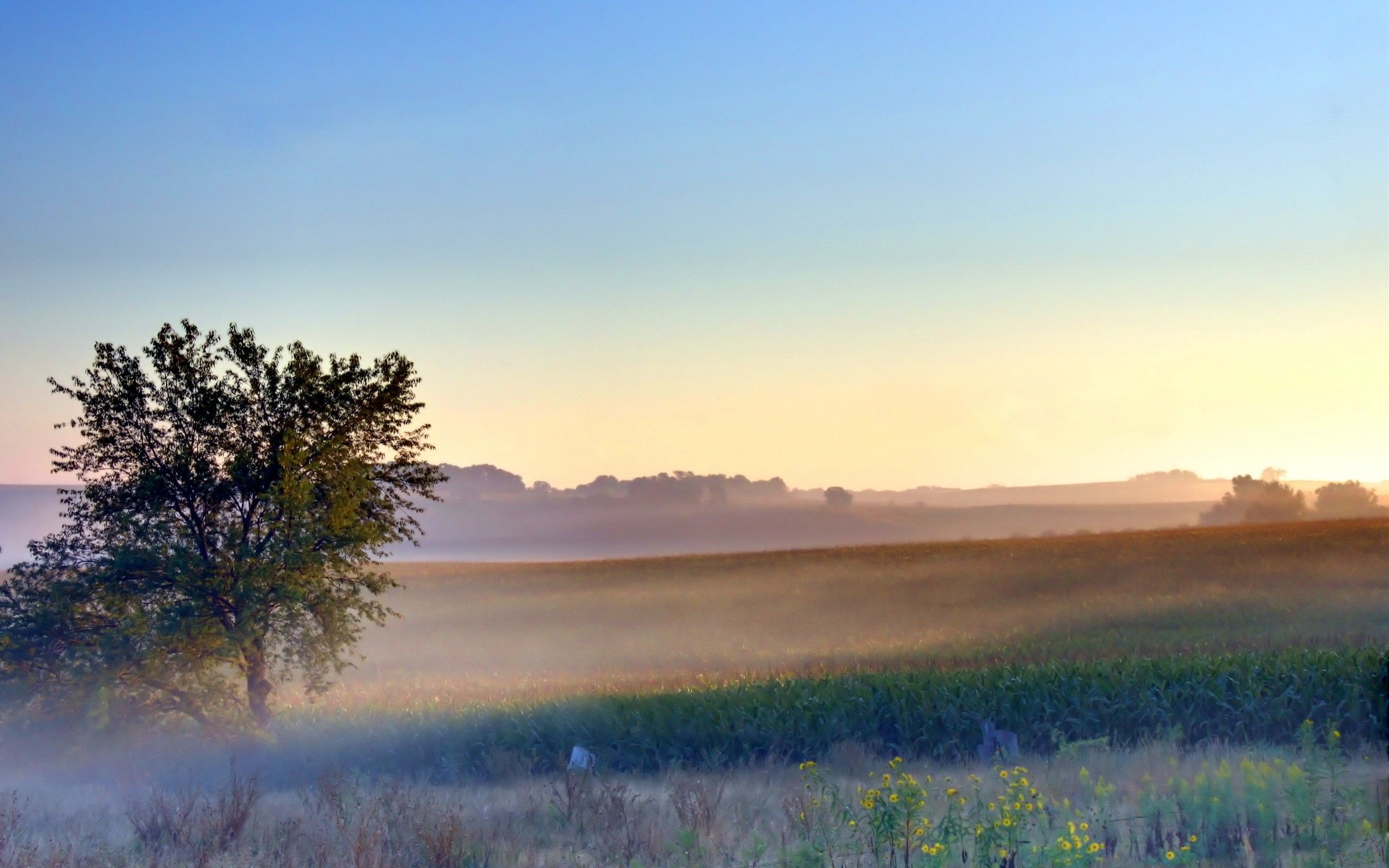 Late Summer Desktop Wallpapers