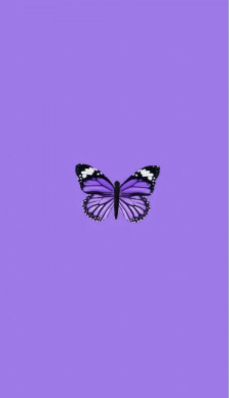 Lavender Butterfly Wallpapers