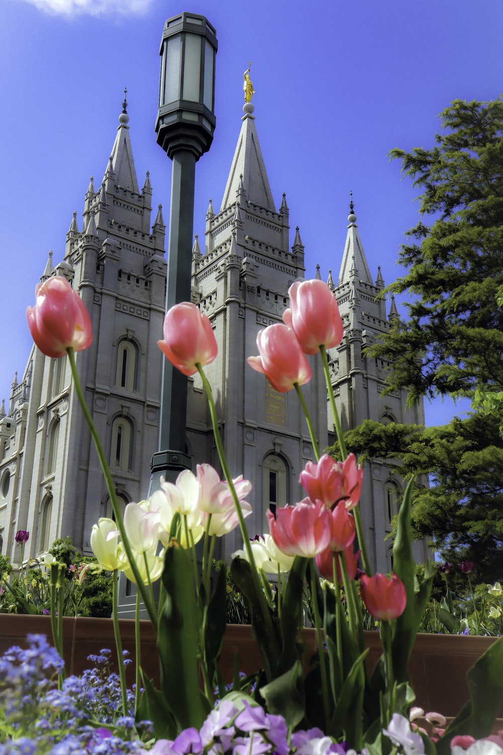 Lds Temples Wallpapers