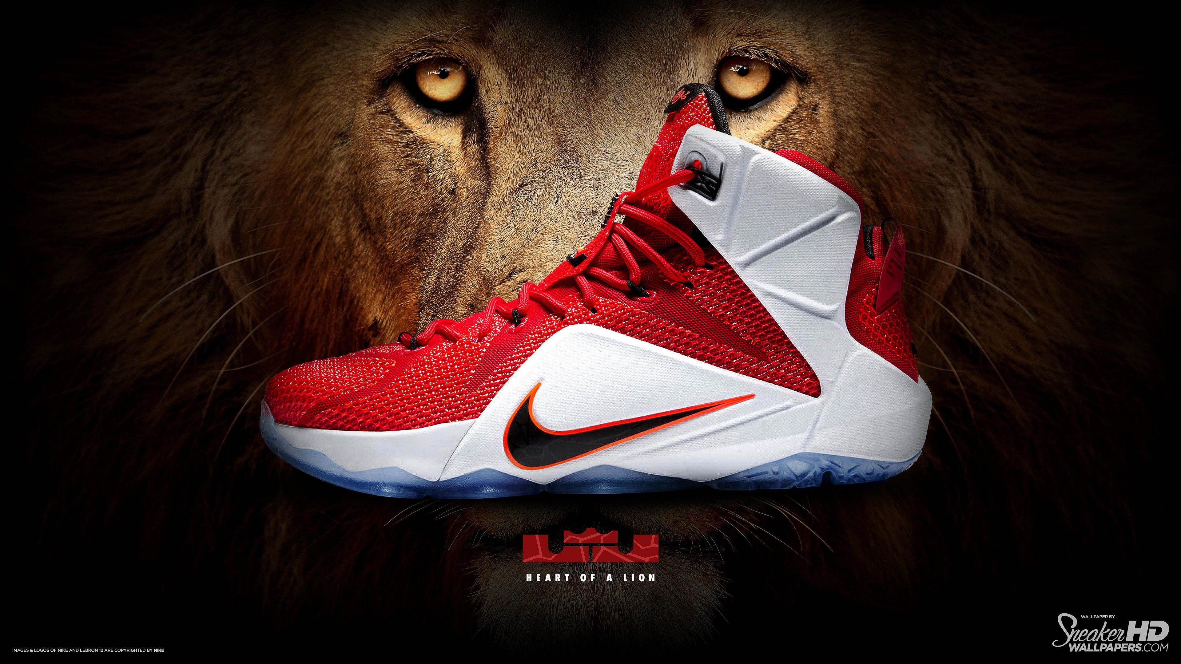 Lebron Shoes Wallpapers