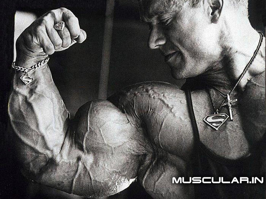 Lee Priest Pic Wallpapers