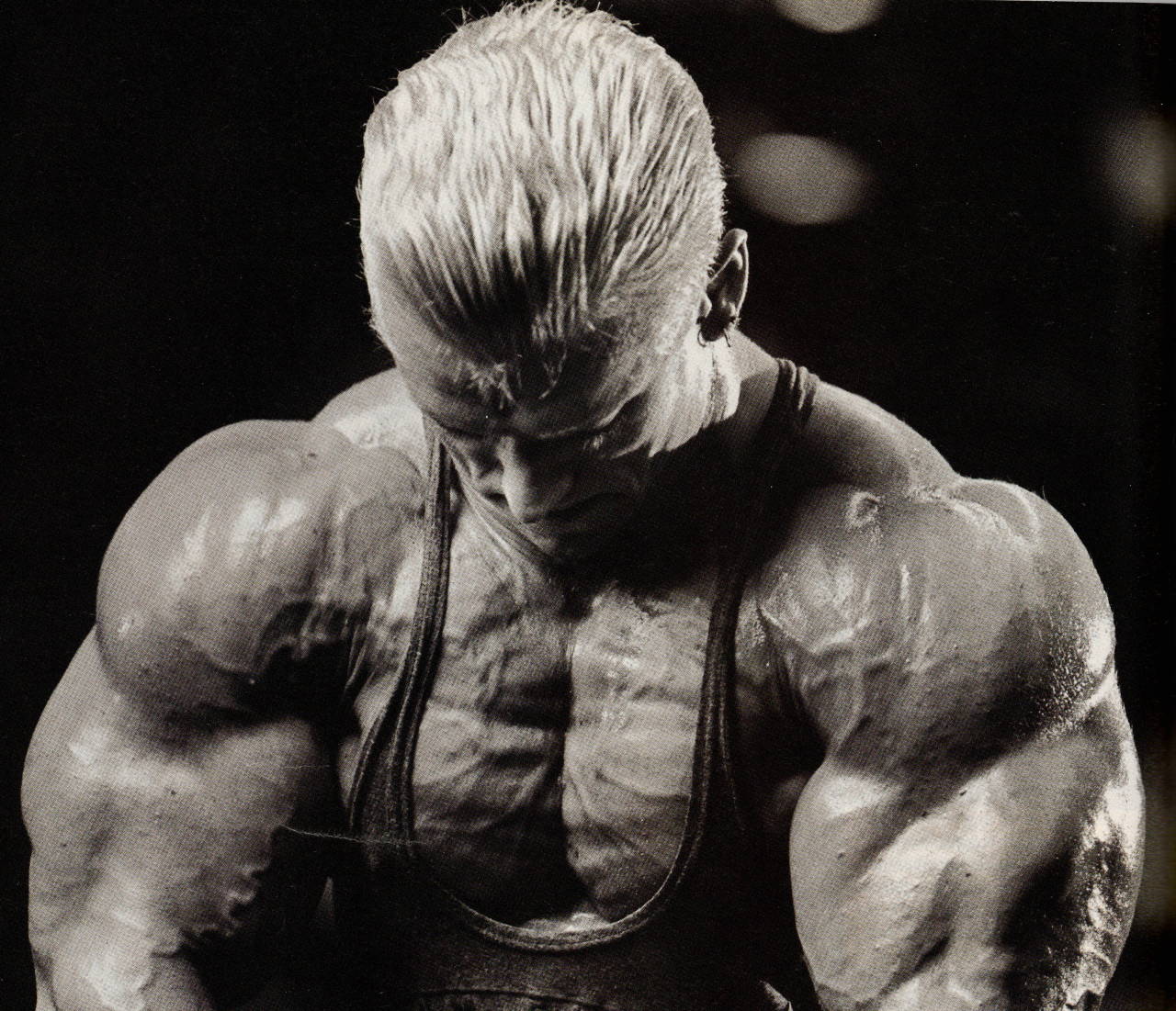 Lee Priest Pic Wallpapers