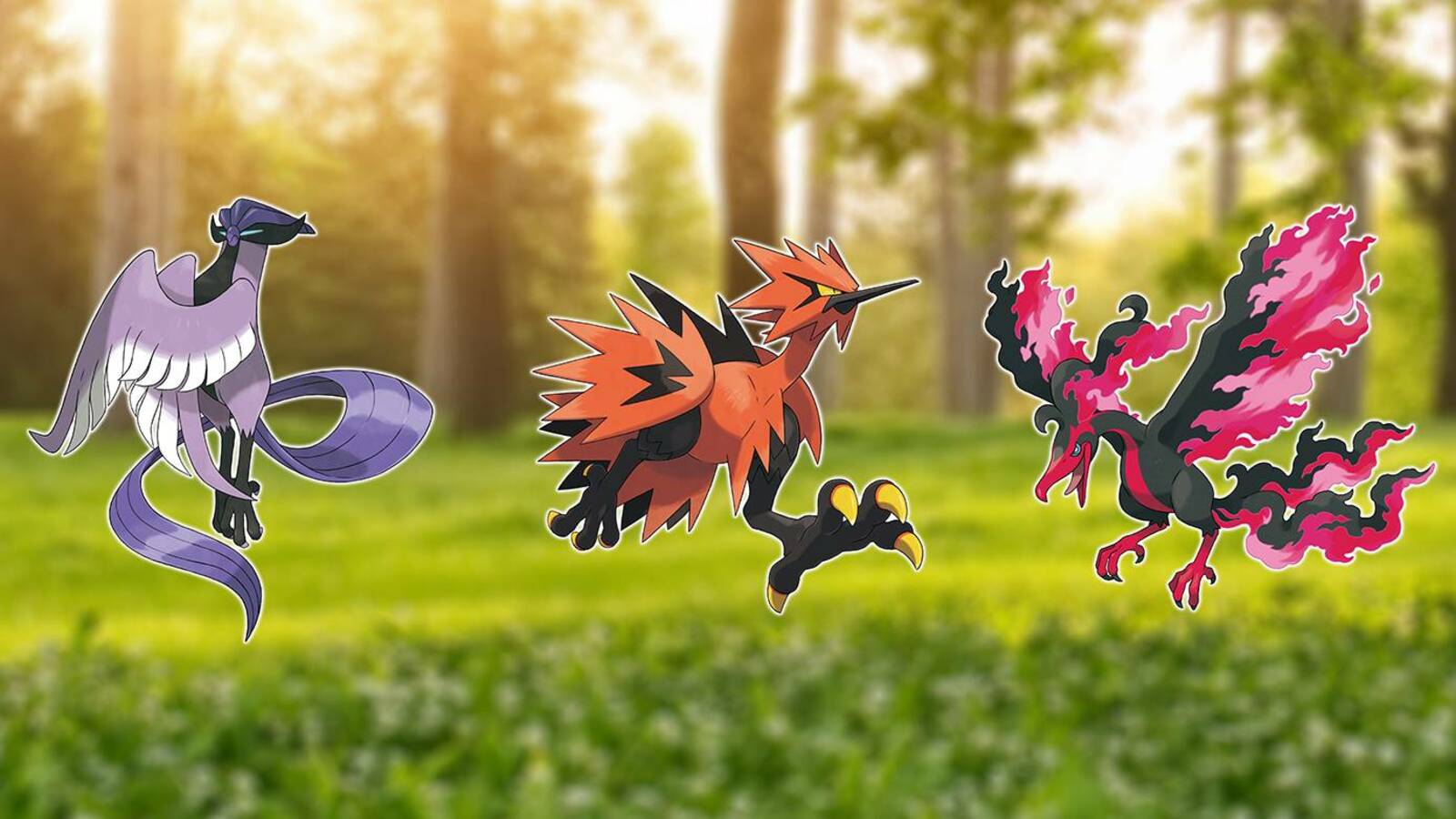 Legendary Birds Pokemon Wallpapers