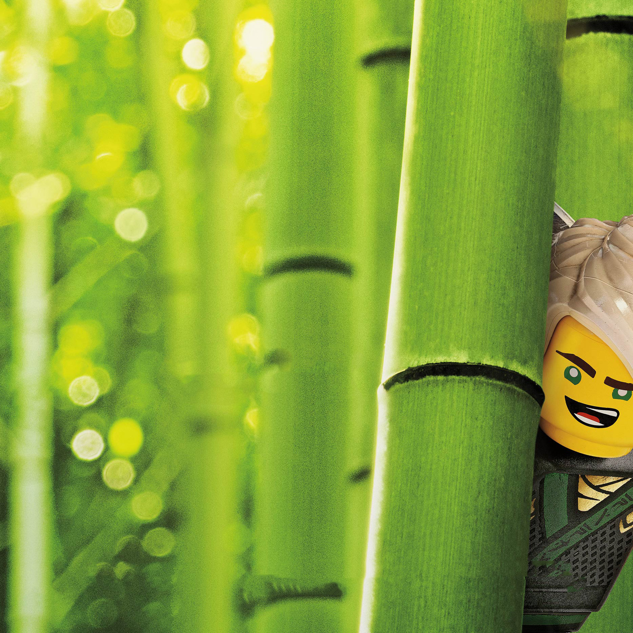 Lego Ninjago Lloyd Wallpapers