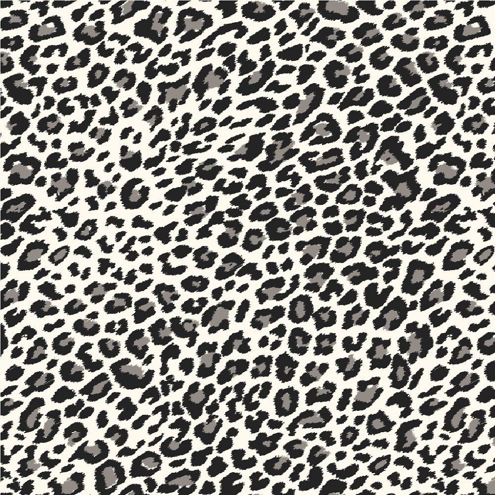 Leopard Screensaver Wallpapers