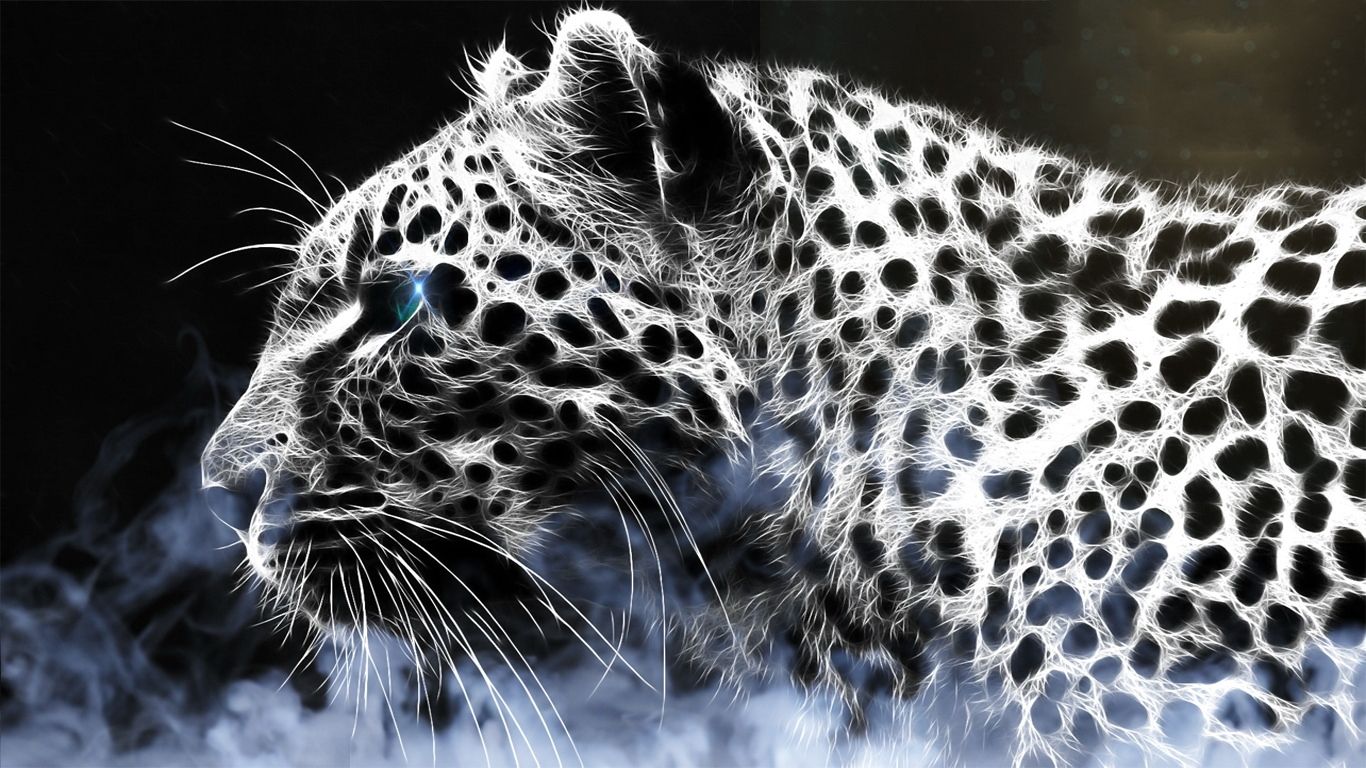 Leopard Hd Wallpapers