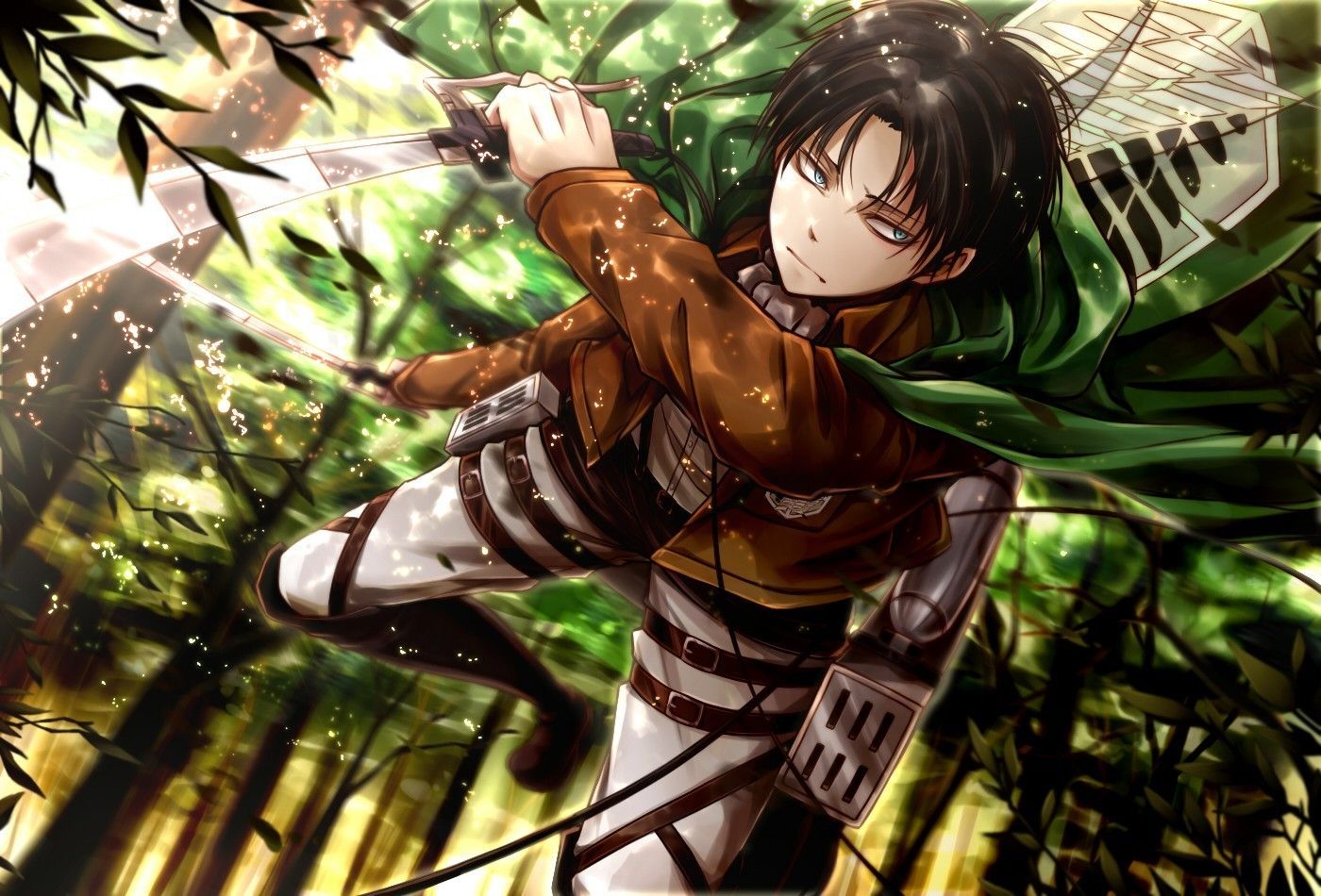 Levi Aot Wallpapers