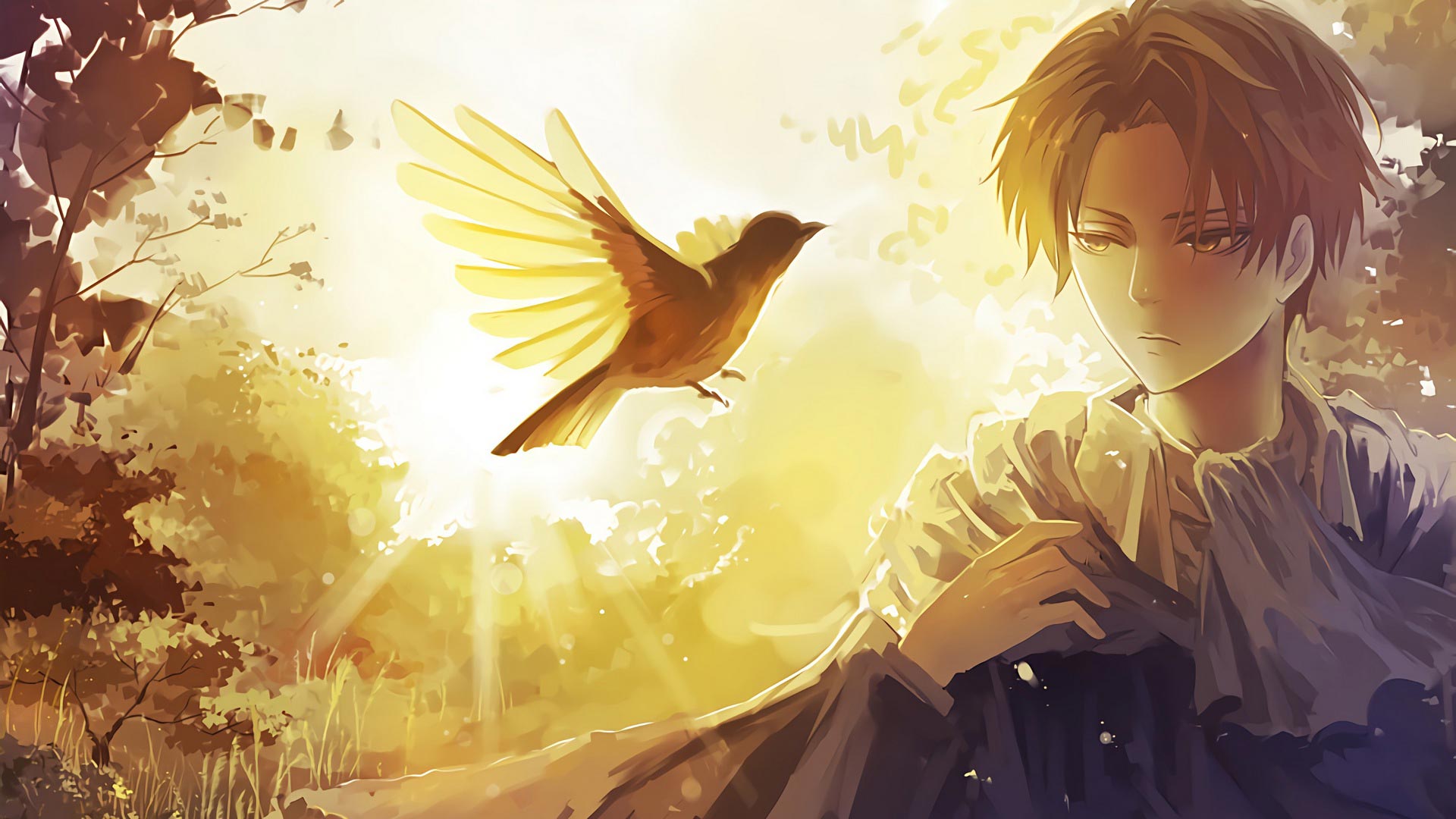 Levi Aot Wallpapers