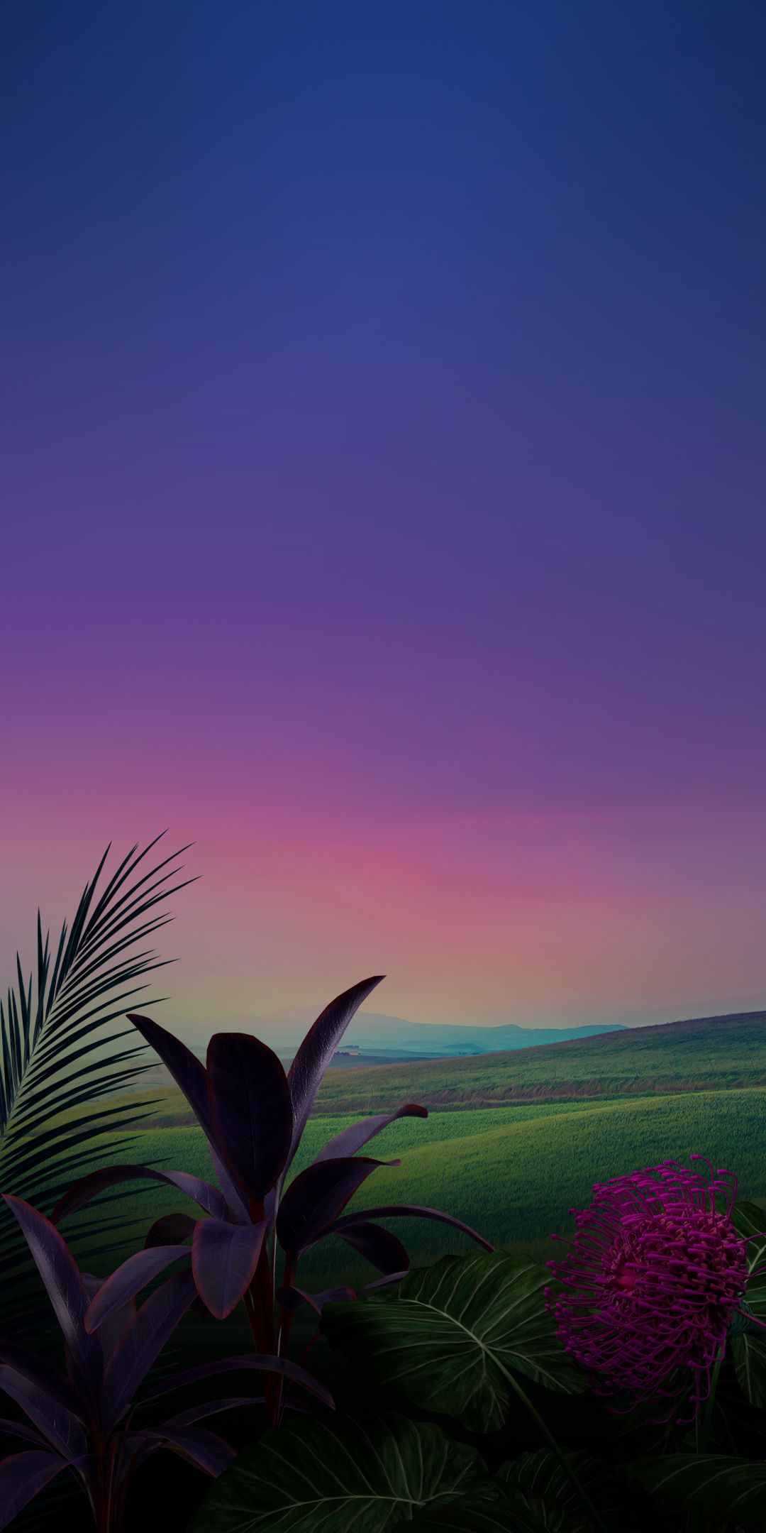 Lg G8 Wallpapers