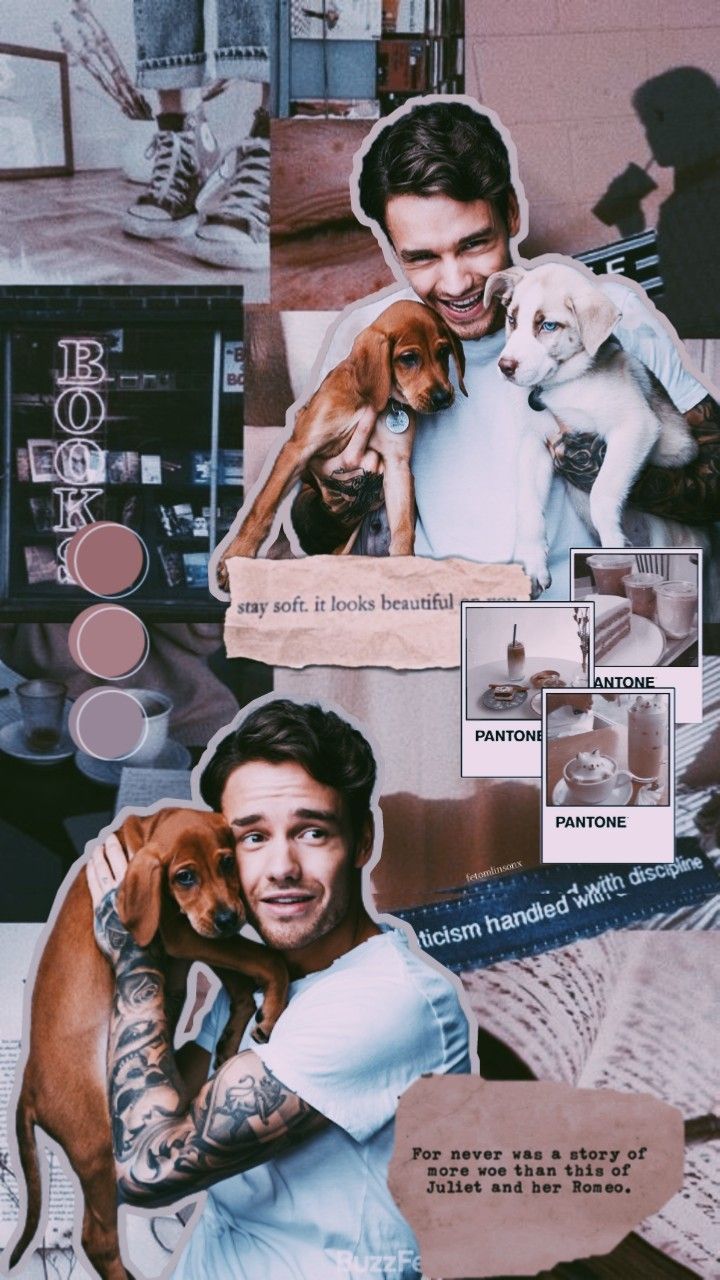 Liam Payne Wallpapers