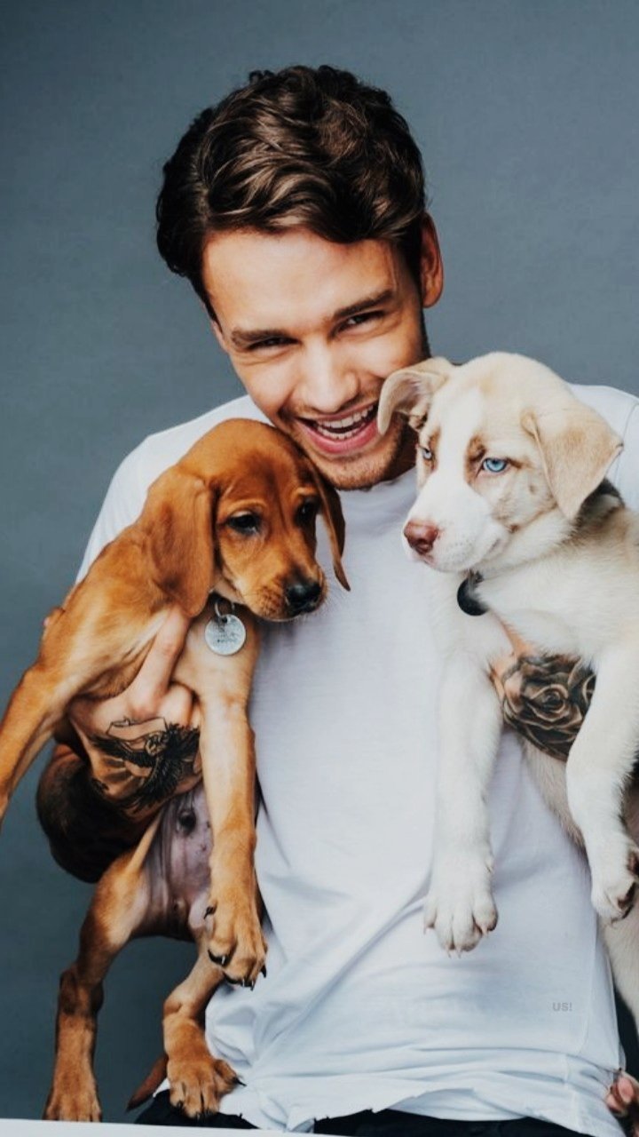 Liam Payne Wallpapers